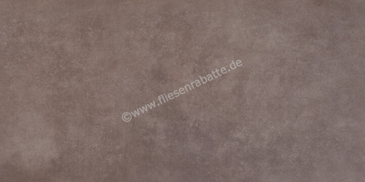 Steuler Thinsation Taupe 60x120 cm Bodenfliese / Wandfliese Matt Eben Natural Y13050001 | 28106