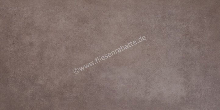 Steuler Thinsation Taupe 60x120 cm Bodenfliese / Wandfliese Matt Eben Natural Y13050001 | 28107