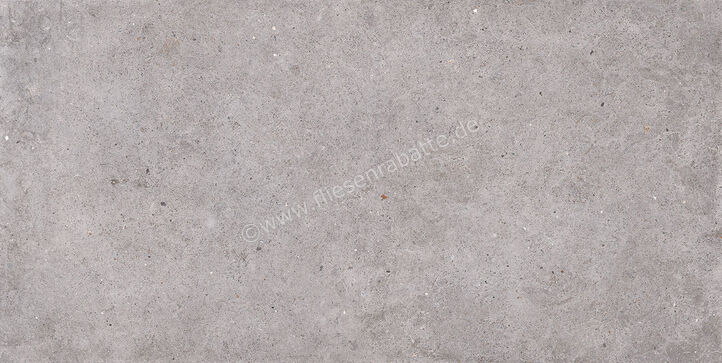 ceramicvision Argent Ash 60x120 cm Bodenfliese / Wandfliese Soft Strukturiert Naturale CV0184441 | 282154