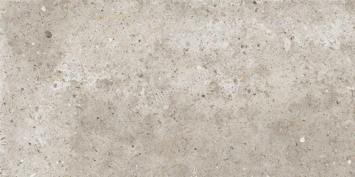 ceramicvision Anima Beige 30x60 cm Bodenfliese / Wandfliese Matt Strukturiert Naturale CVPF60006060 | 303174