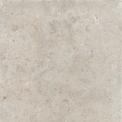 ceramicvision Anima Beige 60x60 cm Bodenfliese / Wandfliese Matt Strukturiert Naturale CVPF60006056 | 303249