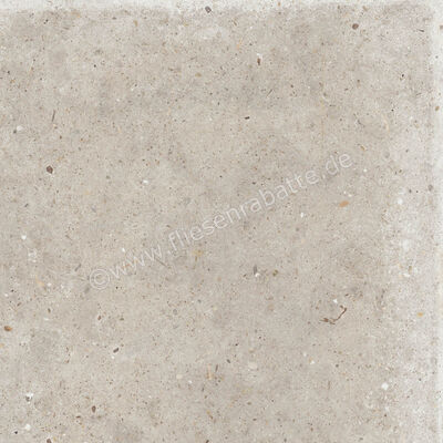 ceramicvision Anima Beige 60x60 cm Bodenfliese / Wandfliese Matt Strukturiert Naturale CVPF60006056 | 303255