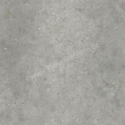 ceramicvision Anima Grigio 80x80 cm Bodenfliese / Wandfliese Matt Strukturiert Naturale CVPF60007811 | 303804