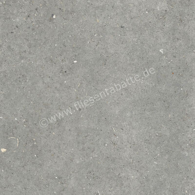 ceramicvision Anima Grigio 80x80 cm Bodenfliese / Wandfliese Matt Strukturiert Naturale CVPF60007811 | 303813