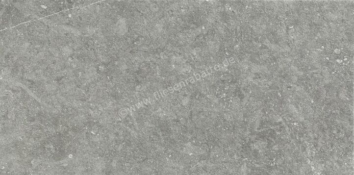 Marazzi Mystone Bluestone20 Grigio 50x100x2 cm Terrassenplatte Matt Strukturiert Naturale MMXM | 348034