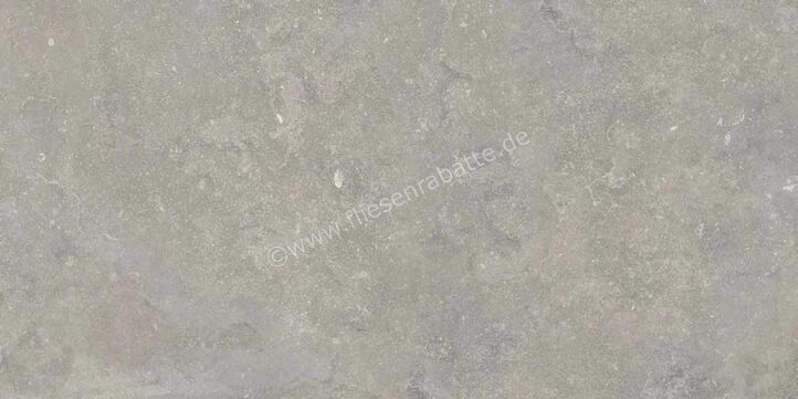 ceramicvision Memento Bruges Grey 60x120 cm Bodenfliese / Wandfliese Matt Strukturiert Naturale CVPF60012928 | 357729