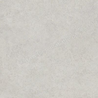 Emilceramica Landscape Cenere 80x80 cm Bodenfliese / Wandfliese Matt Eben Naturale EJRA | 376554