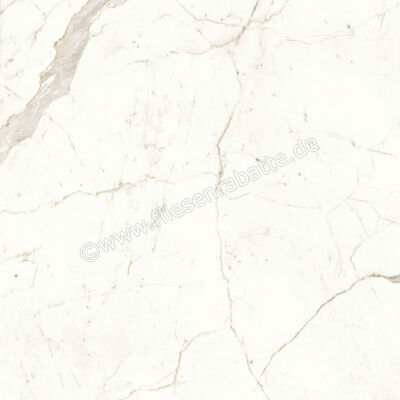  Atlas Concorde Marvel Shine Calacatta Prestigio 120x120 cm Bodenfliese / Wandfliese Glänzend Eben Lappato A4Q9 | 378282