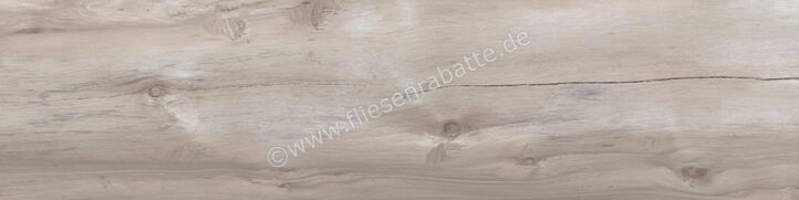 Emilceramica Millelegni Grey Ash 30x120 cm Bodenfliese / Wandfliese Matt Eben Naturale E220 | 3991