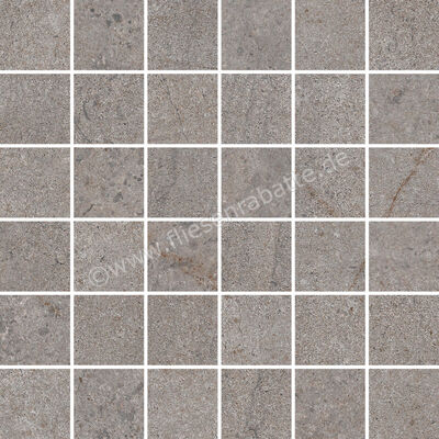 Steuler Design Hygge Clay 30x30 cm Mosaik 5x5 Matt Eben Natural Y69087001 | 409213