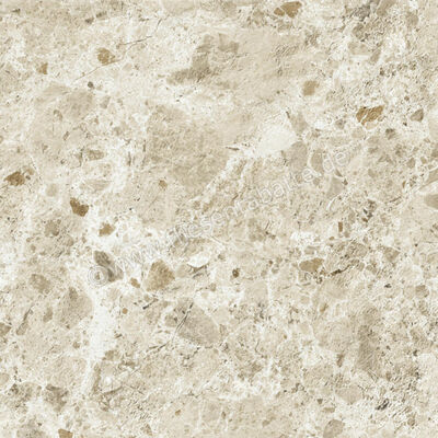 Naxos Mockup Portofino Nut 60x60 cm Bodenfliese / Wandfliese Matt Eben Naturale 136921 | 410629