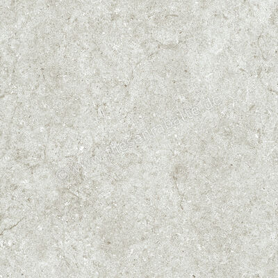 Naxos Mockup Ostuni Grey 60x60 cm Bodenfliese / Wandfliese Matt Eben Naturale 136918 | 411742