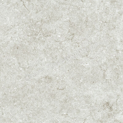 Naxos Mockup Ostuni Grey 60x60 cm Bodenfliese / Wandfliese Matt Eben Naturale 136918 | 411748