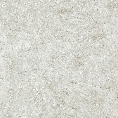 Naxos Mockup Ostuni Grey 60x60 cm Bodenfliese / Wandfliese Matt Eben Naturale 136918 | 411754