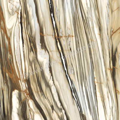  Imola Ceramica The Room Calacatta Oyster 120x120 cm Bodenfliese / Wandfliese Stärke: 6,5 mm Glänzend Eben Lappato CAL OY6 120 LP (186855) | 415432