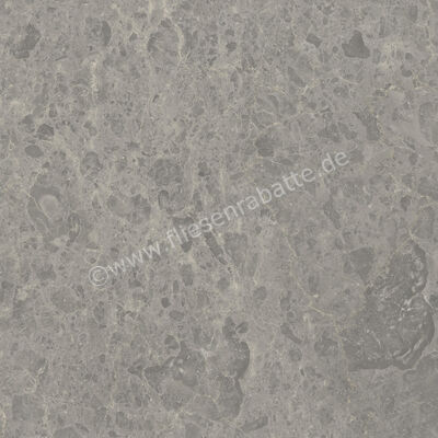  Ceramiche Caesar Portraits Outdoor Rouen 60x60x2 cm Terrassenplatte Aextra20 Matt Strukturiert Naturale AG5R CAE | 417199