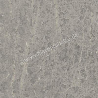  Ceramiche Caesar Portraits Outdoor Rouen 60x60x2 cm Terrassenplatte Aextra20 Matt Strukturiert Naturale AG5R CAE | 417211
