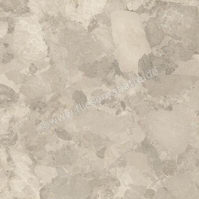 Imola Ceramica Crew Bitter Dove Grey TO 120x120 cm Bodenfliese / Wandfliese Matt Eben Naturale CR BIT 120TO RM | 427729