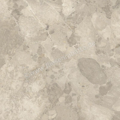 Imola Ceramica Crew Bitter Dove Grey TO 120x120 cm Bodenfliese / Wandfliese Matt Eben Naturale CR BIT 120TO RM | 427735