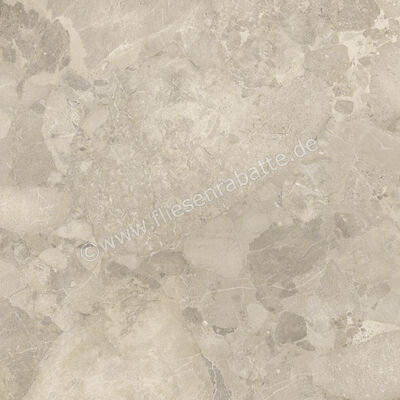 Imola Ceramica Crew Bitter Dove Grey TO 120x120 cm Bodenfliese / Wandfliese Matt Eben Naturale CR BIT 120TO RM | 427738