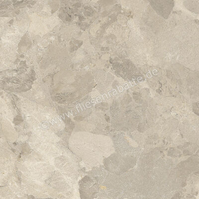 Imola Ceramica Crew Bitter Dove Grey TO 60x60 cm Bodenfliese / Wandfliese Matt Eben Naturale CR BIT 60TO RM | 427867