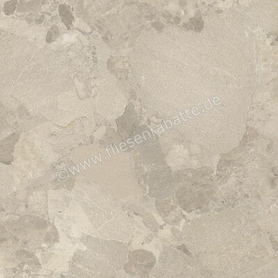 Imola Ceramica Crew Bitter Dove Grey TO 60x60 cm Bodenfliese / Wandfliese Matt Eben Naturale CR BIT 60TO RM | 427873