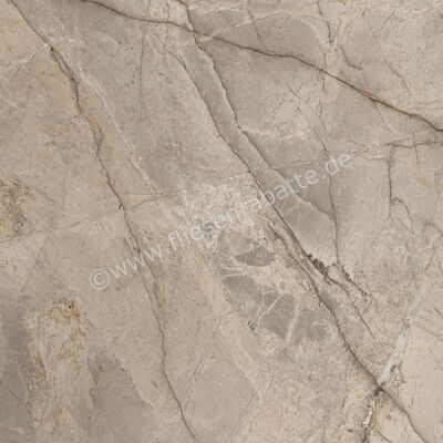 Imola Ceramica The Rock Fior di Bosco 90x90 cm Bodenfliese / Wandfliese Matt Eben Naturale FIBOSC 90 RM | 430033