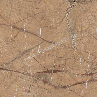  Imola Ceramica The Rock Forest Gold 60x60 cm Bodenfliese / Wandfliese Matt Eben Naturale FOGOLD 60 RM (193674) | 430057