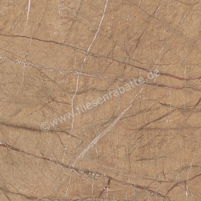 Imola Ceramica The Rock Forest Gold 60x60 cm Bodenfliese / Wandfliese Matt Eben Naturale FOGOLD 60 RM | 430060