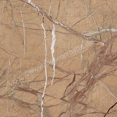 Imola Ceramica The Rock Forest Gold 60x60 cm Bodenfliese / Wandfliese Matt Eben Naturale FOGOLD 60 RM | 430063