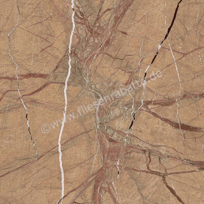 Imola Ceramica The Rock Forest Gold 60x60 cm Bodenfliese / Wandfliese Matt Eben Naturale FOGOLD 60 RM | 430066