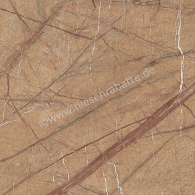  Imola Ceramica The Rock Forest Gold 60x60 cm Bodenfliese / Wandfliese Matt Eben Naturale FOGOLD 60 RM (193674) | 430069
