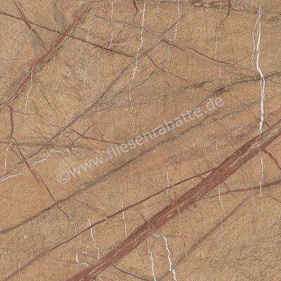 Imola Ceramica The Rock Forest Gold 60x60 cm Bodenfliese / Wandfliese Matt Eben Naturale FOGOLD 60 RM | 430069