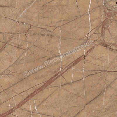  Imola Ceramica The Rock Forest Gold 90x90 cm Bodenfliese / Wandfliese Matt Eben Naturale FOGOLD 90 RM (193682) | 430090