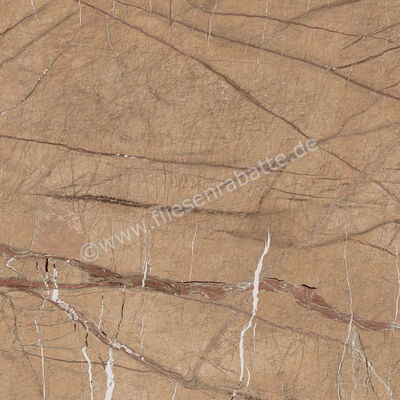  Imola Ceramica The Rock Forest Gold 90x90 cm Bodenfliese / Wandfliese Matt Eben Naturale FOGOLD 90 RM (193682) | 430093