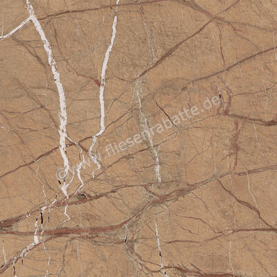  Imola Ceramica The Rock Forest Gold 90x90 cm Bodenfliese / Wandfliese Matt Eben Naturale FOGOLD 90 RM (193682) | 430096