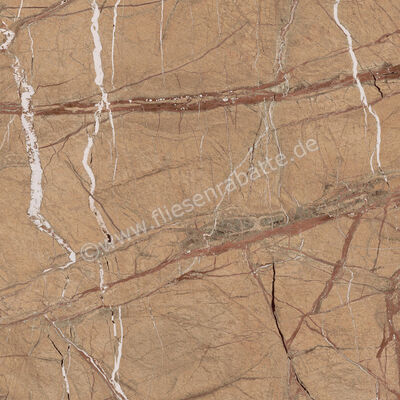  Imola Ceramica The Rock Forest Gold 90x90 cm Bodenfliese / Wandfliese Matt Eben Naturale FOGOLD 90 RM (193682) | 430099