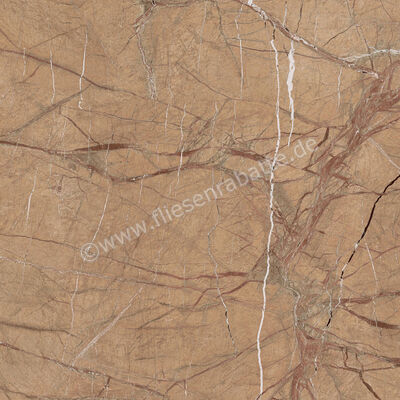 Imola Ceramica The Rock Forest Gold 120x120 cm Bodenfliese / Wandfliese 0,65 mm Matt Eben Naturale FOGOLD6 120 RM | 430138