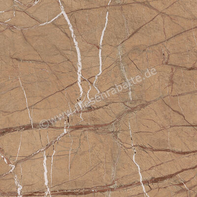  Imola Ceramica The Rock Forest Gold 120x120 cm Bodenfliese / Wandfliese 0,65 mm Matt Eben Naturale FOGOLD6 120 RM (192050) | 430144