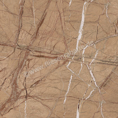 Imola Ceramica The Rock Forest Gold 120x120 cm Bodenfliese / Wandfliese 0,65 mm Matt Eben Naturale FOGOLD6 120 RM | 430150