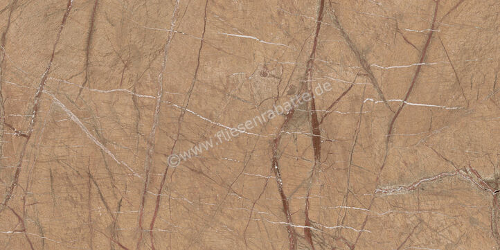 Imola Ceramica The Rock Forest Gold 60x120 cm Bodenfliese / Wandfliese Matt Eben Naturale FOGOLD 12 RM | 430168