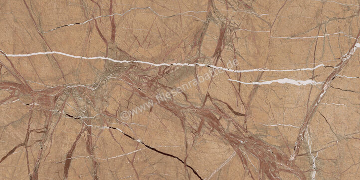 Imola Ceramica The Rock Forest Gold 60x120 cm Bodenfliese / Wandfliese Matt Eben Naturale FOGOLD 12 RM | 430171