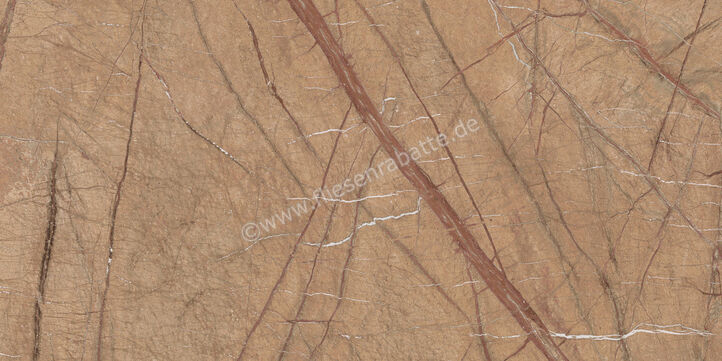 Imola Ceramica The Rock Forest Gold 60x120 cm Bodenfliese / Wandfliese Matt Eben Naturale FOGOLD 12 RM | 430174