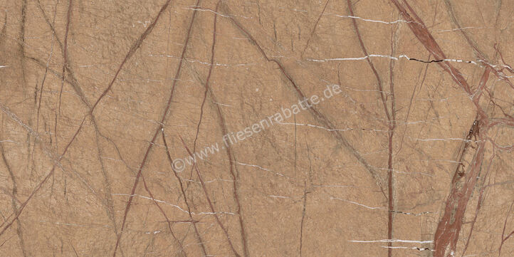 Imola Ceramica The Rock Forest Gold 60x120 cm Bodenfliese / Wandfliese Matt Eben Naturale FOGOLD 12 RM | 430177