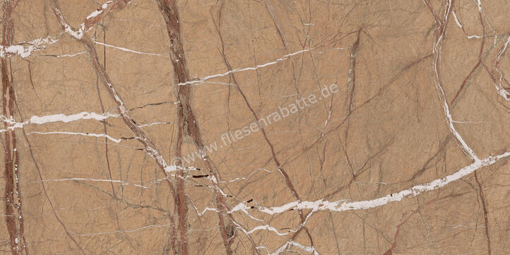 Imola Ceramica The Rock Forest Gold 60x120 cm Bodenfliese / Wandfliese Matt Eben Naturale FOGOLD 12 RM | 430180