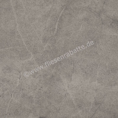 Imola Ceramica Blue Savoy Grey G 60x60 cm Bodenfliese / Wandfliese Matt Strukturiert Naturale BLSV 60G RM | 433579