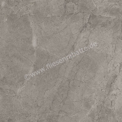 Imola Ceramica Blue Savoy Grey G 60x60 cm Bodenfliese / Wandfliese Matt Strukturiert Naturale BLSV 60G RM | 433582