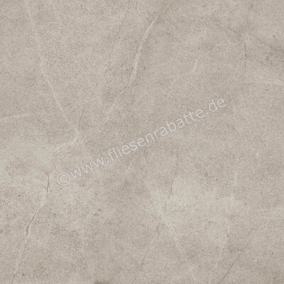 Imola Ceramica Blue Savoy Beige B 60x60 cm Bodenfliese / Wandfliese Matt Strukturiert Naturale BLSV 60B RM | 433627