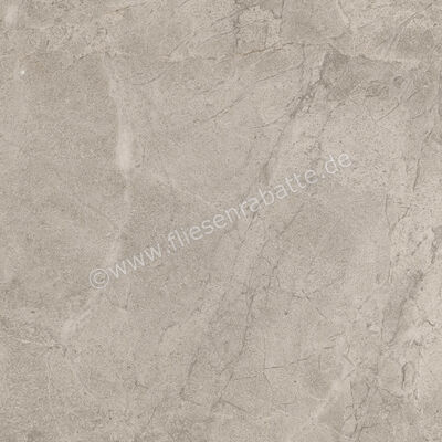 Imola Ceramica Blue Savoy Beige B 60x60 cm Bodenfliese / Wandfliese Matt Strukturiert Naturale BLSV 60B RM | 433630