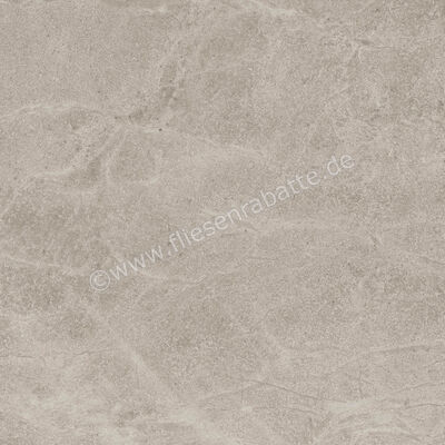 Imola Ceramica Blue Savoy Beige B 60x60 cm Bodenfliese / Wandfliese Matt Strukturiert Naturale BLSV 60B RM | 433639